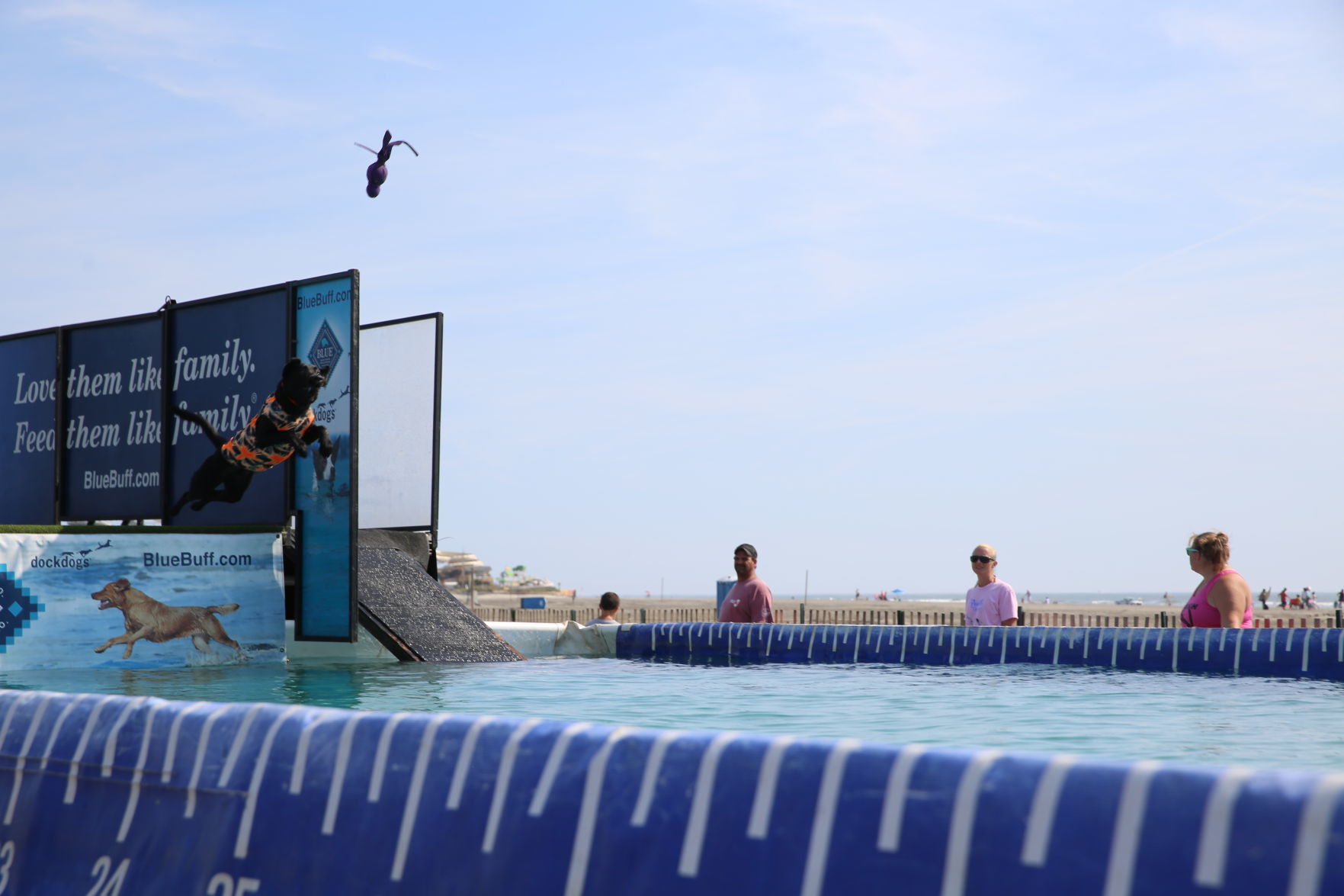 090919_gal_dockdogsWW (59)